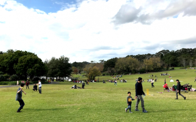 People’s odds of loneliness could fall by up to half if cities hit 30% green space targets