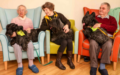 Beautiful therapy dogs bring smiles to the faces of residents in north Wales care home